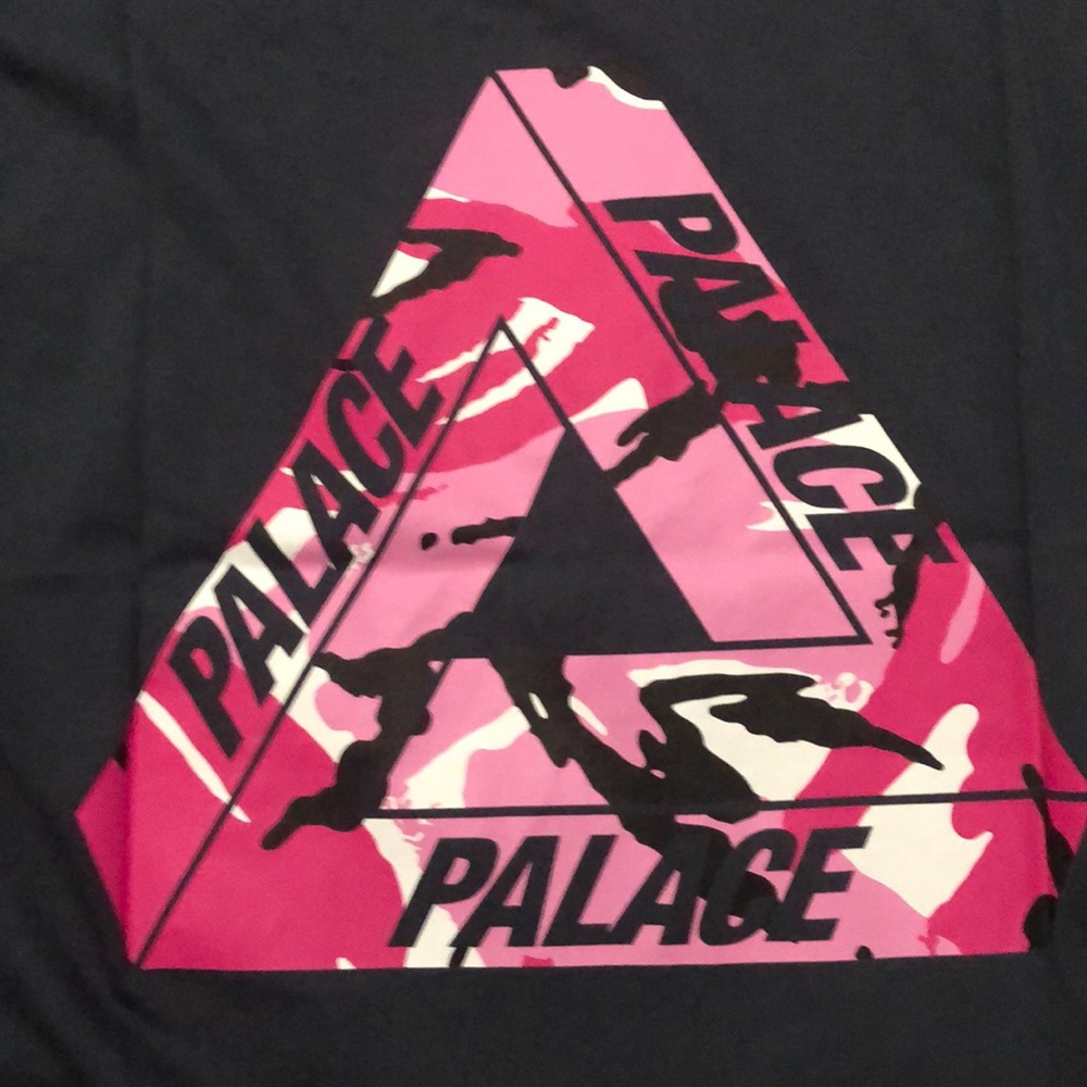 PALACE - Picture 3 of 6